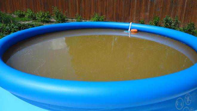 Как почистить бассейн, не сливая воду, в домашних условиях: лучшие способы