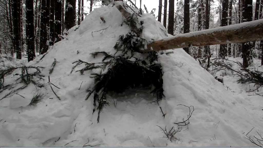 Как построить шалаш в лесу зимой: их виды и фото