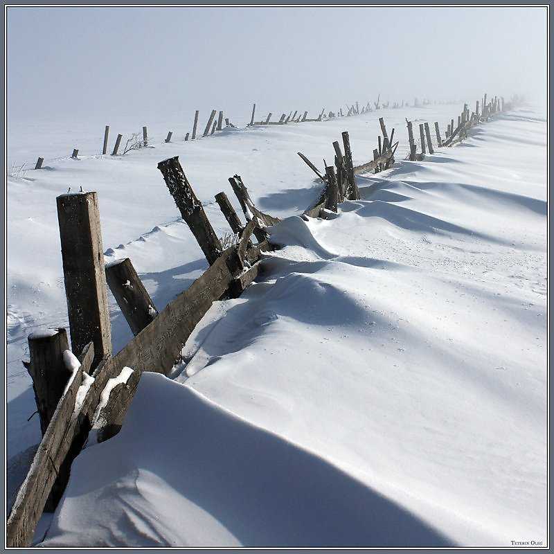 Снегозадержание: зачем используется на полях и что это такое? особенности проведения в зимнее время. щиты и другие приспособления для снегозадержания на участке или на даче