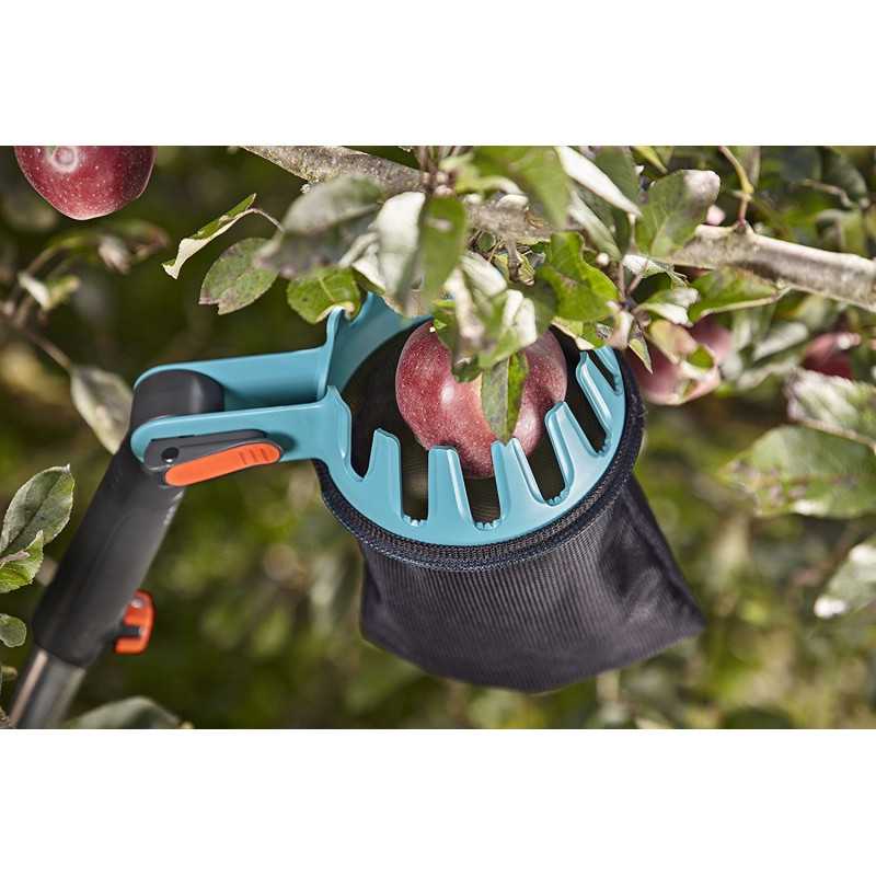 Плодосъемник для яблок: выбираем съемник, приспособление для сбора, плодосборник с телескопической ручкой