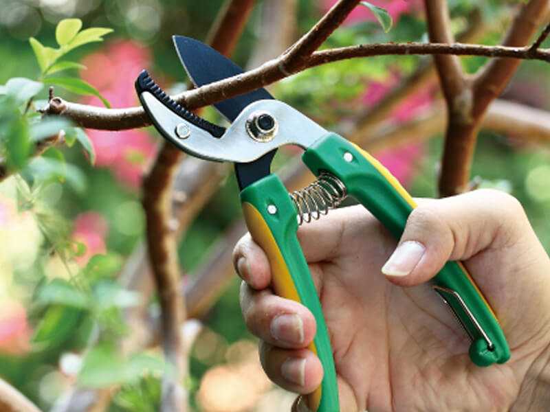 Штанговый сучкорез: особенности высотных садовых сучкорезов на длинной ручке для высоких деревьев. характеристики моделей lux-tools и palisad