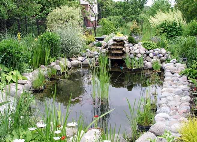 20 вдохновляющих примеров декоративных водоемов, которые каждый сможет создать на своём садовом участке