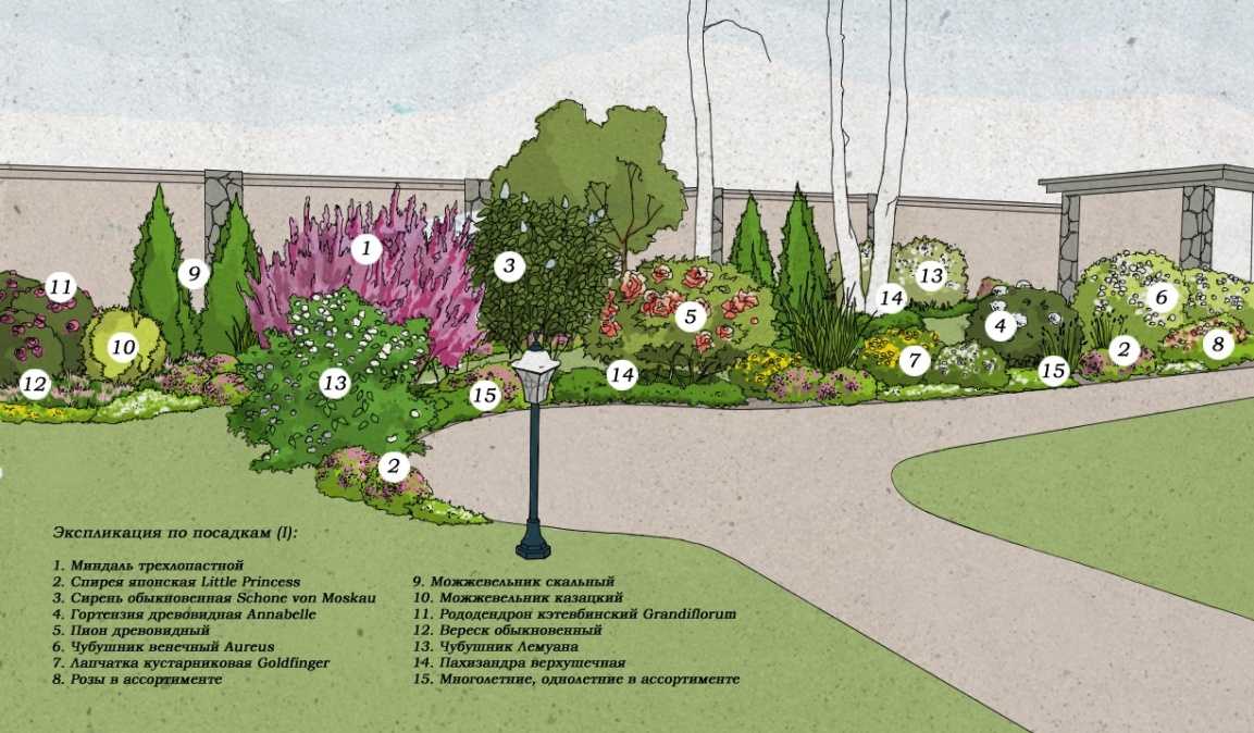 Миксбордер своими руками (схемы, фото и примеры в ландшафтном дизайне) + подбор растений и рекомендации по уходу