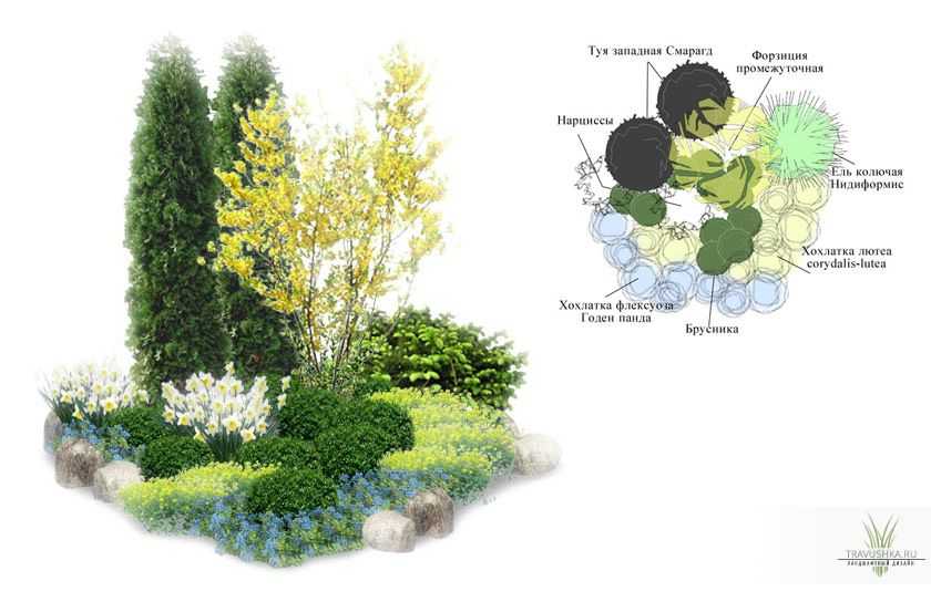 Миксбордер своими руками: схемы и подбор растений для ландшафтного дизайна, фото