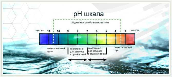 Каким бывает pH воды в бассейне Как понизить и повысить такой показатель Каковы нормы pH воды в бассейне и как влияет слишком высокий или слишком низкий уровень Как проводится измерение тестером и таблетками для определения pH воды в бассейне