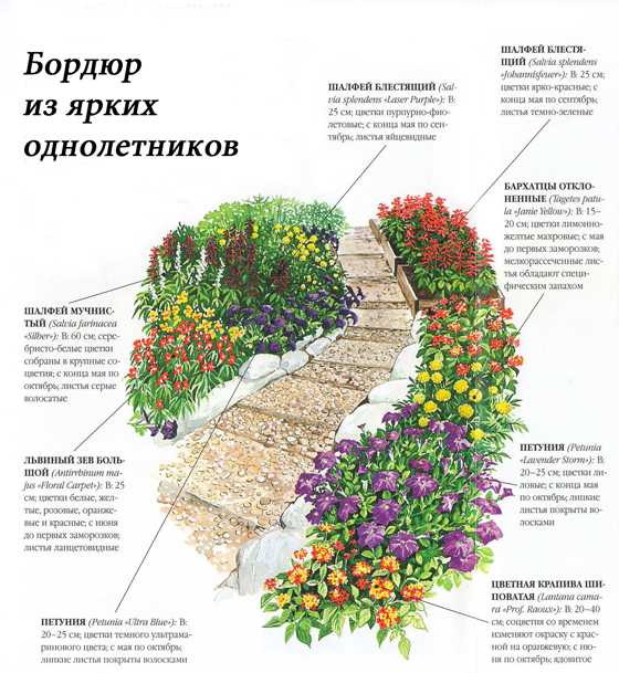 Как сделать миксбордер: как выбрать место, подготовить территорию. посадка растений. основные правила создания миксбордера.
