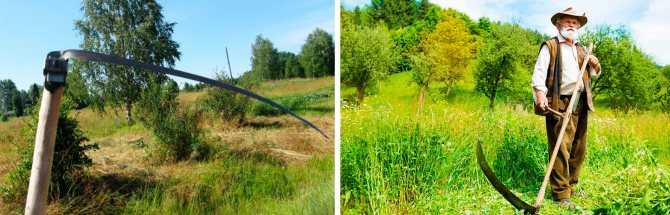 Как косить траву триммером? 26 фото как держать его при покосе? как правильно им пользоваться при кошении высокой травы на газоне?