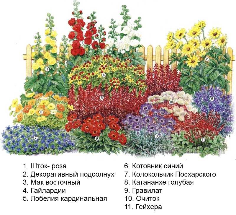 Дизайн цветников: виды и интересные идеи для дачи