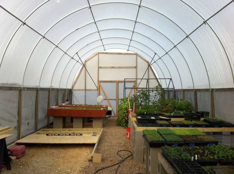 Теплица-термос (66 фото): подземные парники для выращивания овощей круглый год, заглубленная в земле конструкция для круглогодичного использования