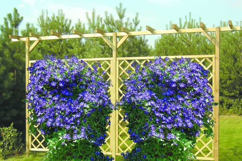 Опоры для вьющихся растений являются важным подспорьем садовода Как правильно выбрать шпалеры для цветов Чем хороши металлические кованые садовые решетки Какие другие виды опор применяются на участках