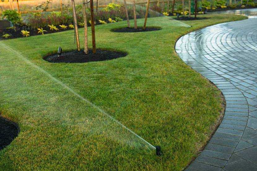 Как поливать газон: способы, количество воды