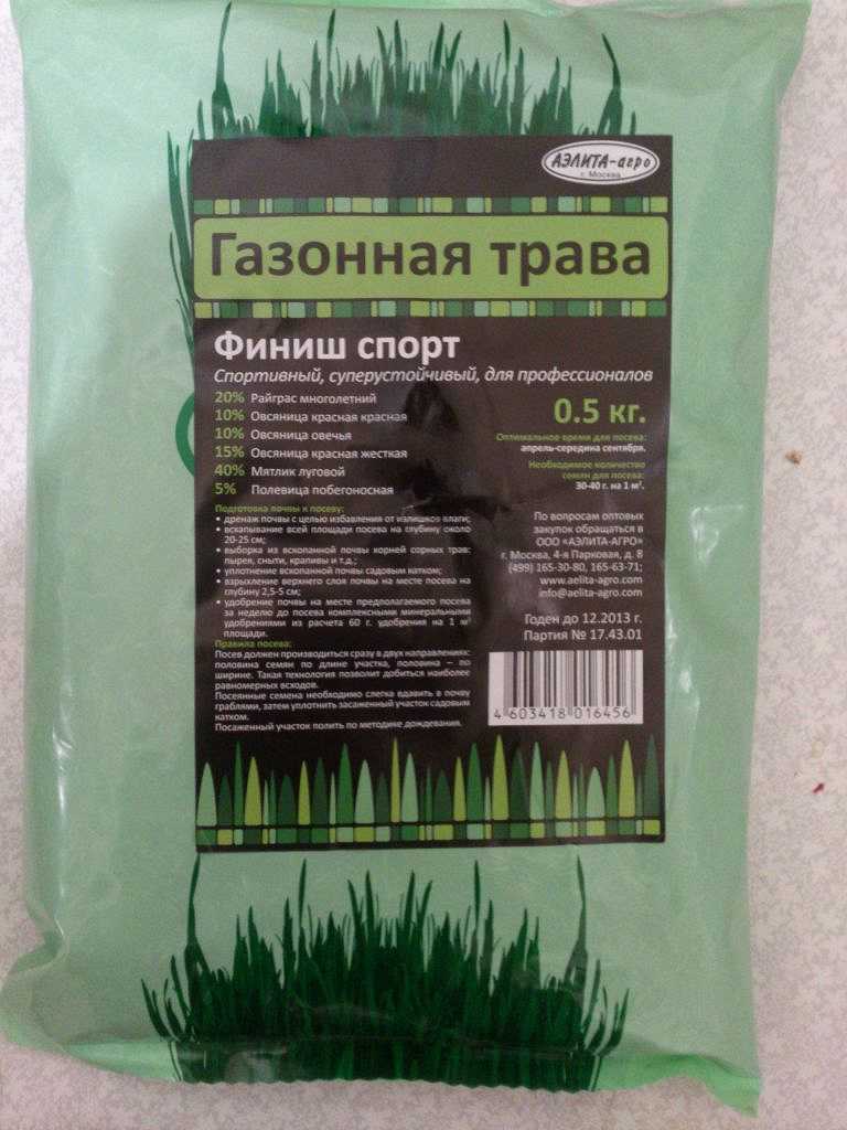 Трава для посадки газона: подборка лучших сортов для нашего климата