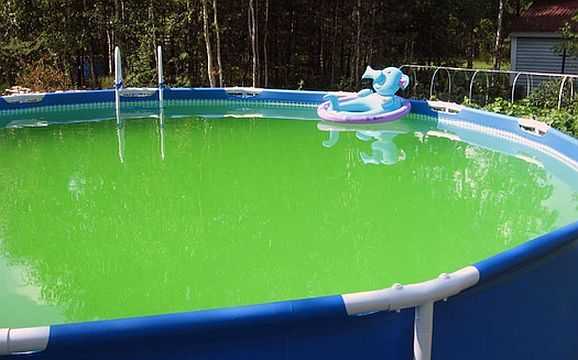 Очистка воды в бассейне зеленкой: сколько и как добавлять, дозировка