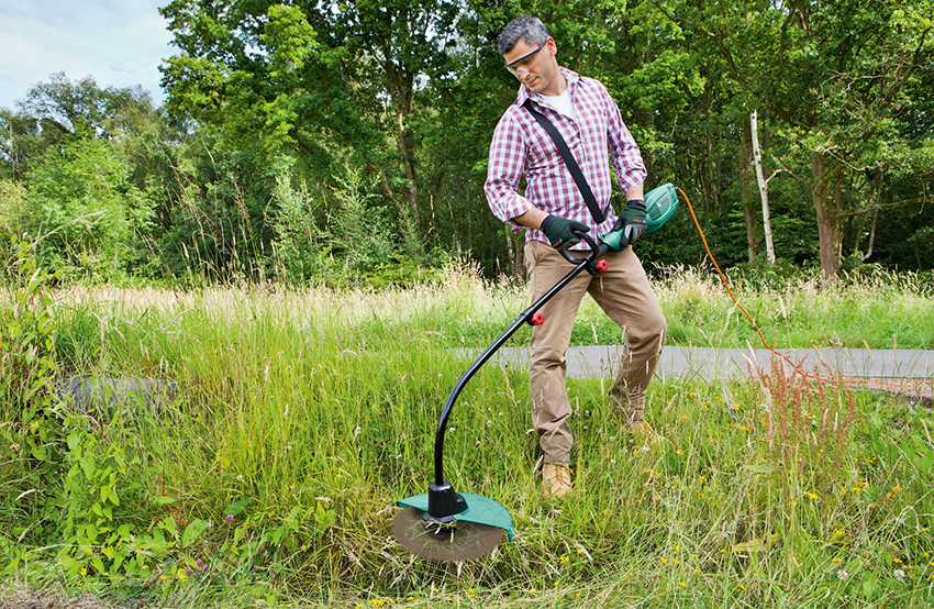 Стрижка газона: используемые инструменты, советы и рекомендации
