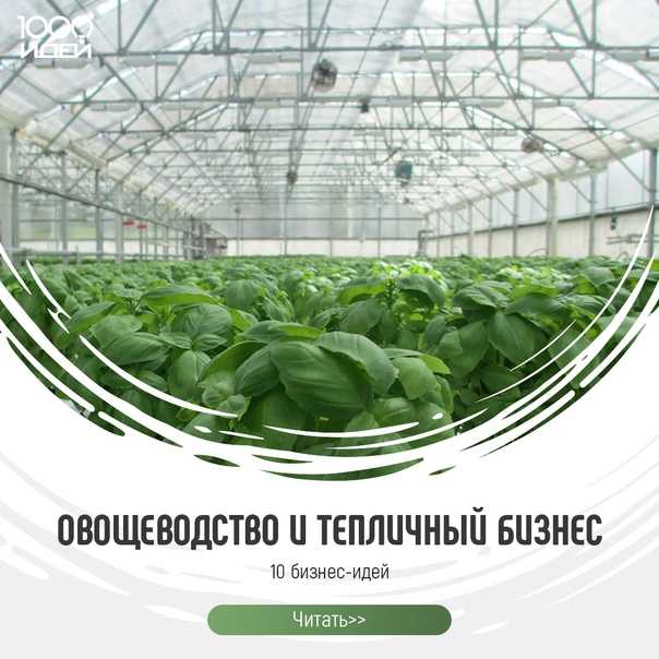 Теплица-термос (66 фото): подземные парники для выращивания овощей круглый год, заглубленная в земле конструкция для круглогодичного использования