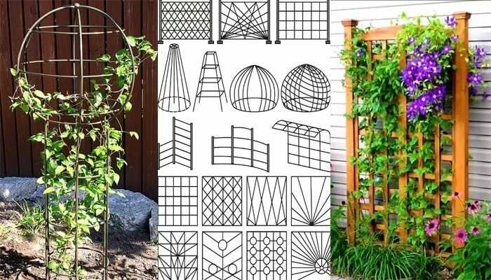 Опоры для растений: металлическая поддержка для цветов и бамбуковые палки в саду, стеклопластиковая и композитные опоры, другие виды