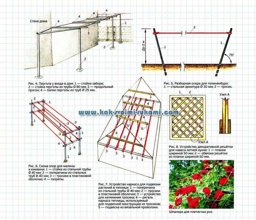 Пергола деревянная для вьющихся растений своими руками чертежи и фото пошаговая инструкция