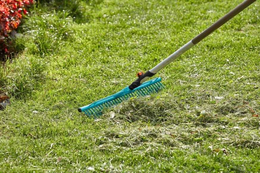 Хитрости посадки газона в жаркое лето: как спасти траву от солнца
