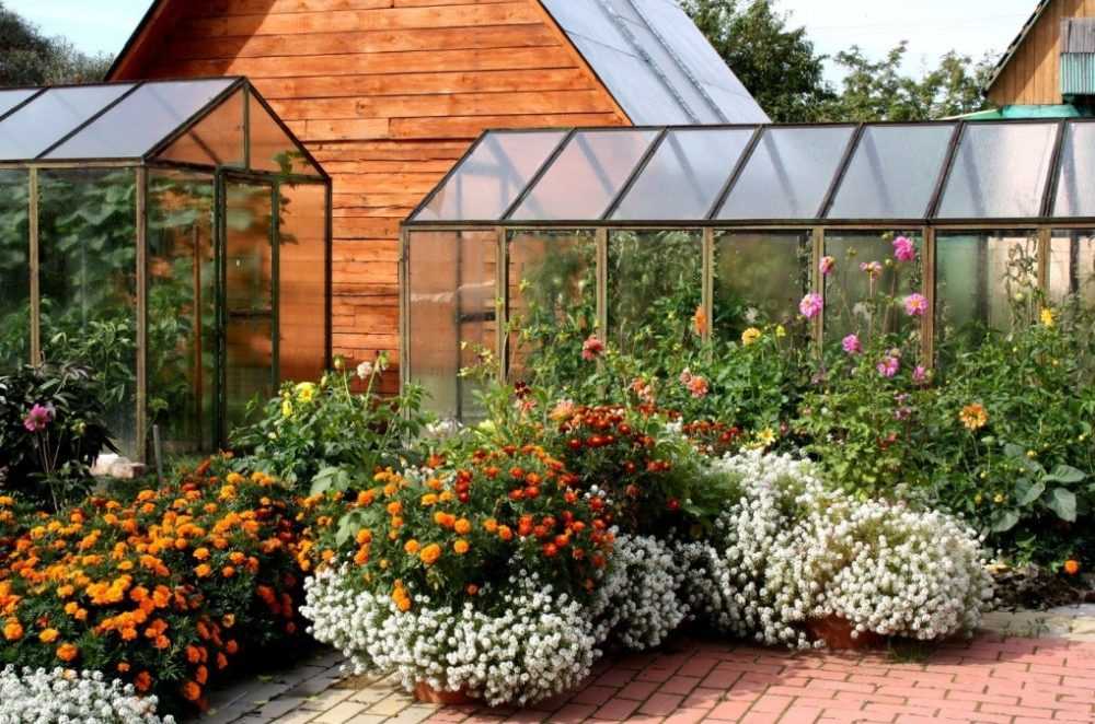 Дачная теплица (55 фото): маленькие «эко» варианты для дачи и сада, нужно ли регистрировать небольшие конструкции на участке