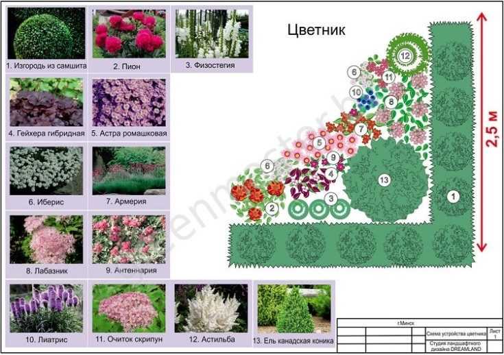 Какие цветы посадить в миксбордер: фото, названия, описание видов и сортов растений