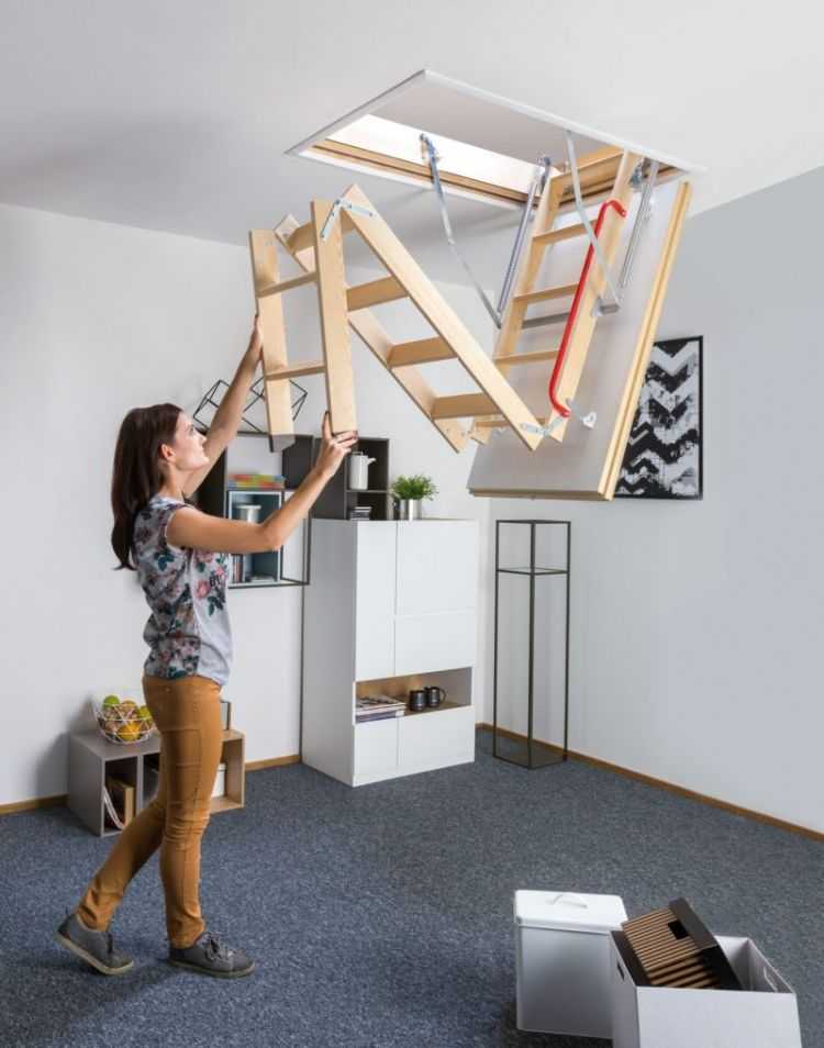 Чердачная лестница с люком: размеры лаза на чердак, потолочный складной и выдвижной люк в потолок