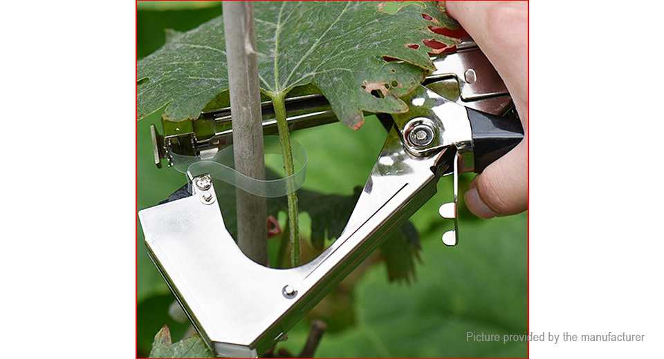 Тапенер: современное устройство для подвязывания винограда и других растений