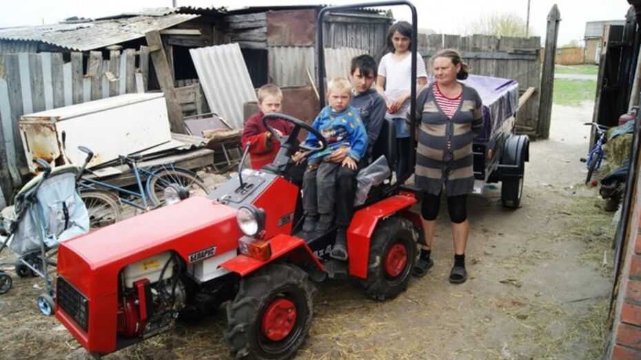 Тракторные новости. Трактор на хуторе. Местный тракторный. Мини трактора Кабаново 104.. Трактор и их семья.