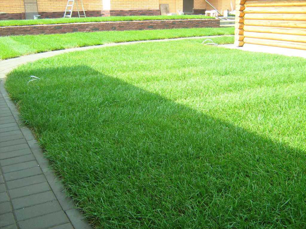 Универсальный газон зеленый квадрат состав