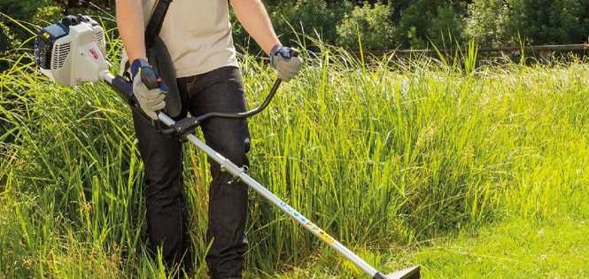 Как выбрать газонокосилку для высокой травы и неровных участков?