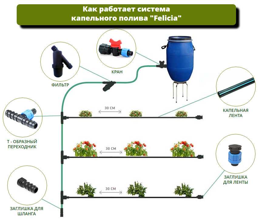 Шланг для полива газона и растений: как выбрать