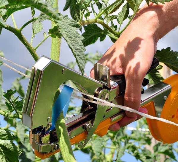 Тапенер для подвязки растений: выбираем садовый степлер для подвязки винограда и помидоров, устройство инструмента