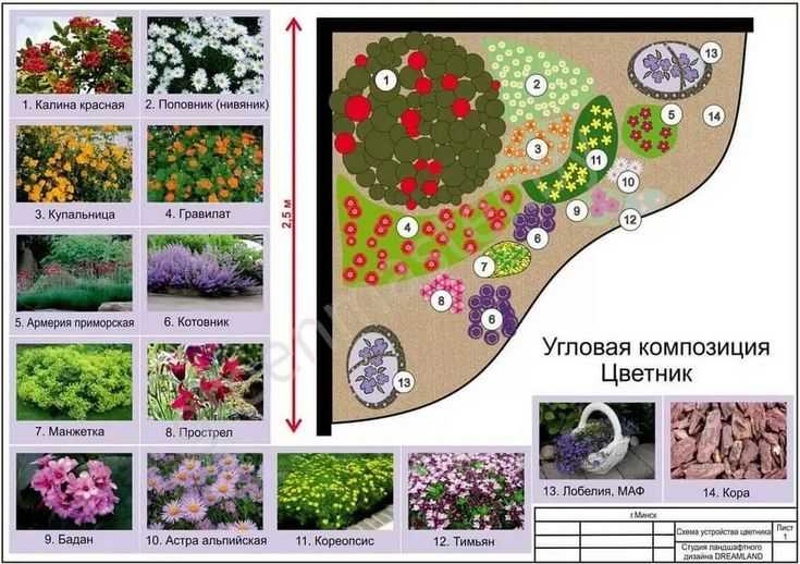 Растения для весенних цветников: выбор первоцветов, типа клумбы, посадка, полив и уход за ними