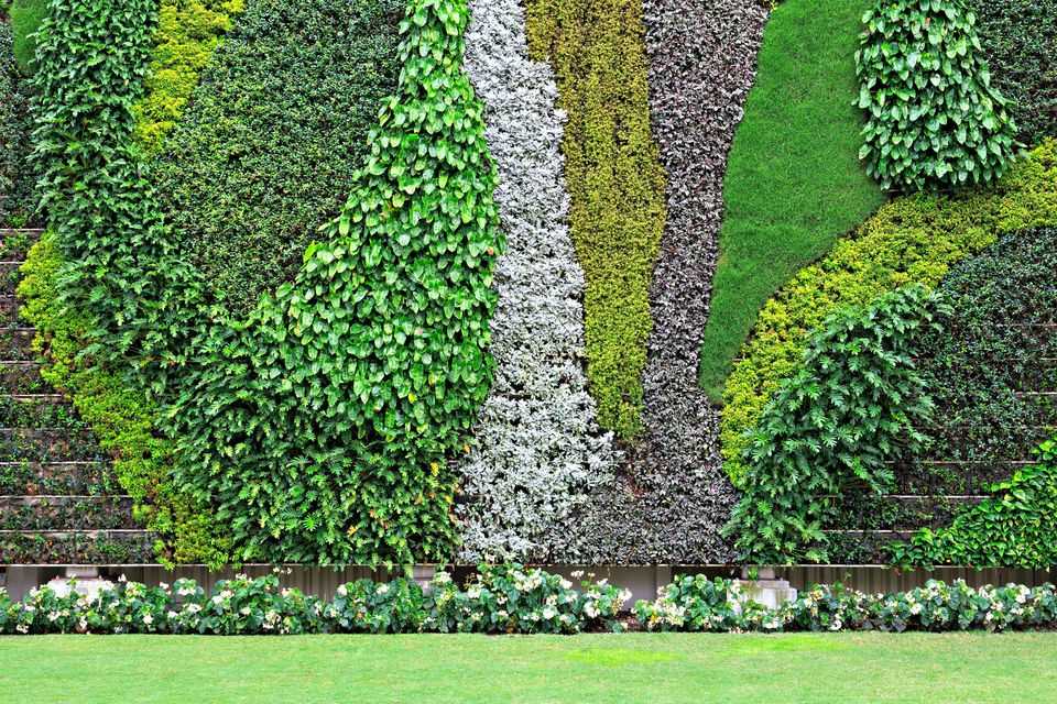 Озеленение двора (150 фото) - инструкция, как сделать своими руками. обзор лучших идей с реальными примерами