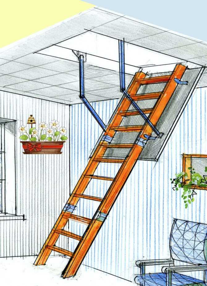 Складная лестница на чердак: раскладная и выдвижная чердачная стремянка, деревянная и алюминиевая складывающаяся модель с люком