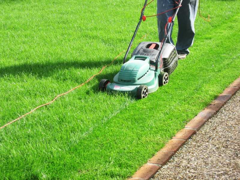 Как стричь газон правильно: инструкции, оборудование и советы по стрижке