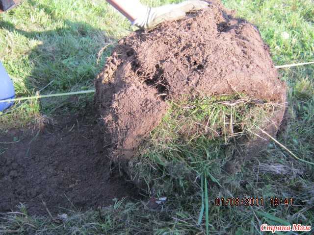 Снятие дерна – сложный и необходимый процесс для обновления верхнего слоя почвы Как снять дернину на участке быстро вручную своими силами Какие существуют способы снять дернину