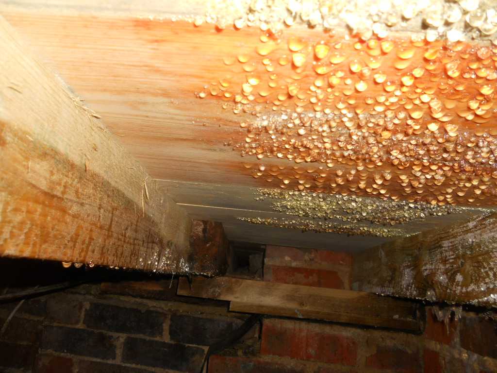 Как избавиться от конденсата в предбаннике зимой? почему потеет потолок и с него капает вода, что делать, чтобы избавиться от конденсата