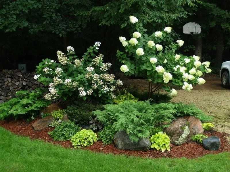 Цветы в ландшафтном дизайне играют важную роль Что же можно подобрать для дачного участка Ирисы и розы, флоксы и обриета – отличный вариант для украшения Какие цветы смогут создать живописную картину в саду