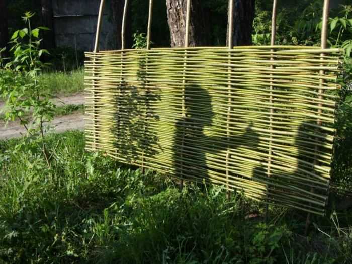 Забор из лозы своими руками — отличный способ оригинально украсить приусадебный двор своего участка! (фото и видео)