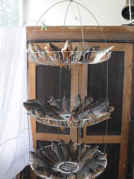 Сушилка для рыбы своими руками (сборно-разборная, подвесная), видео изготовления сетки для сушки