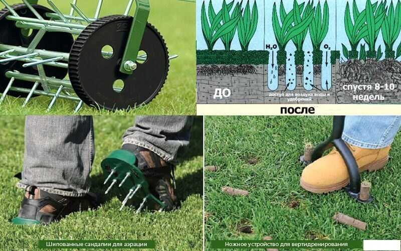 Аэраторы для газона: сандалии для аэрации, бензиновый и электрический, как сделать своими руками, ручные и ножные механические