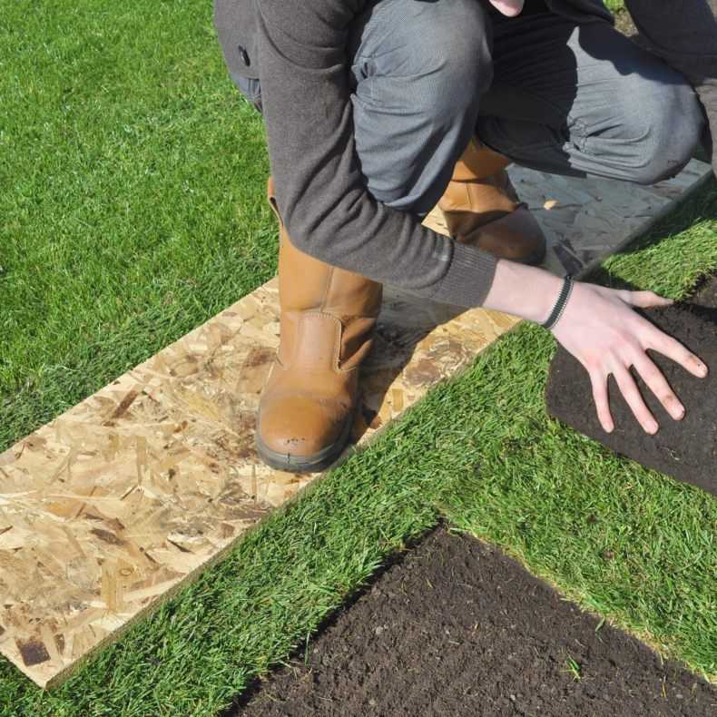 Искусственная трава в рулонах - обзор напольных покрытий с характеристиками, производителями и стоимостью