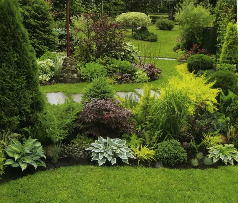 Хвойные в дизайне сада, фото композиций и рекомендации