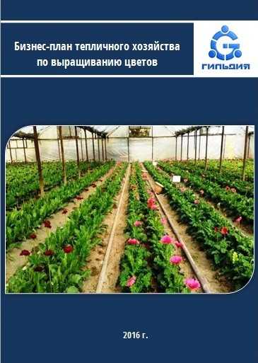 Выращивание в теплице овощей: технология, особенности и таблица урожайности в теплицах из поликарбоната русский фермер