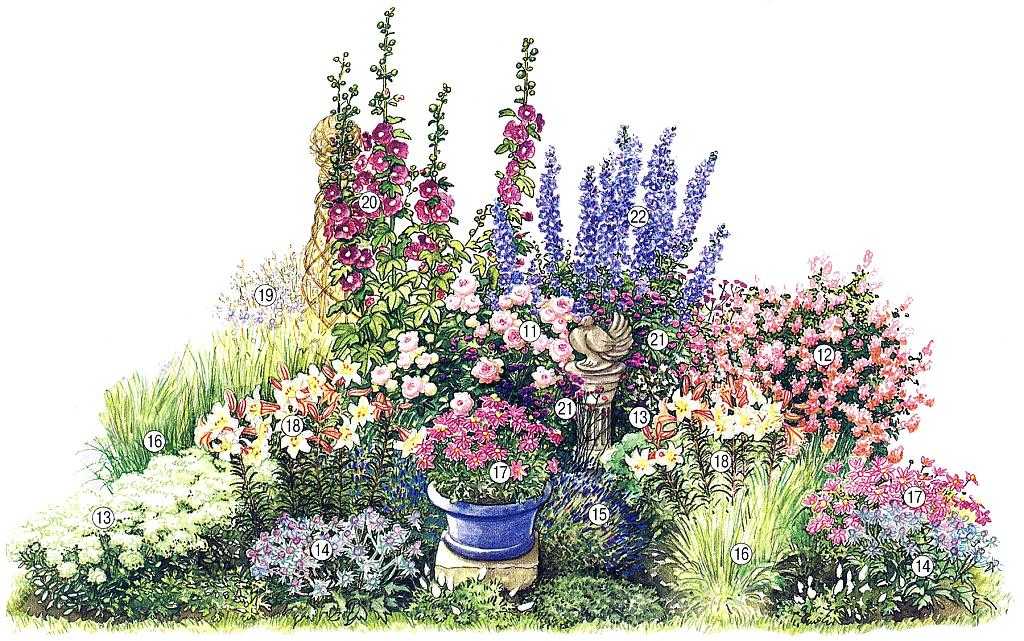 Цветы для дачи, цветущие все лето (32 фото): самые красивые долгоцветущие цветы для сада. какие можно посадить перед домом и как расположить на клумбе?
