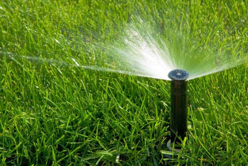 Хитрости посадки газона в жаркое лето: как спасти траву от солнца