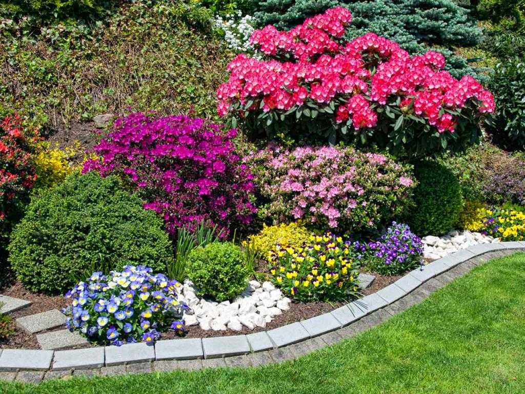 Цветники и клумбы на даче: сажаем растения, цветущие все лето