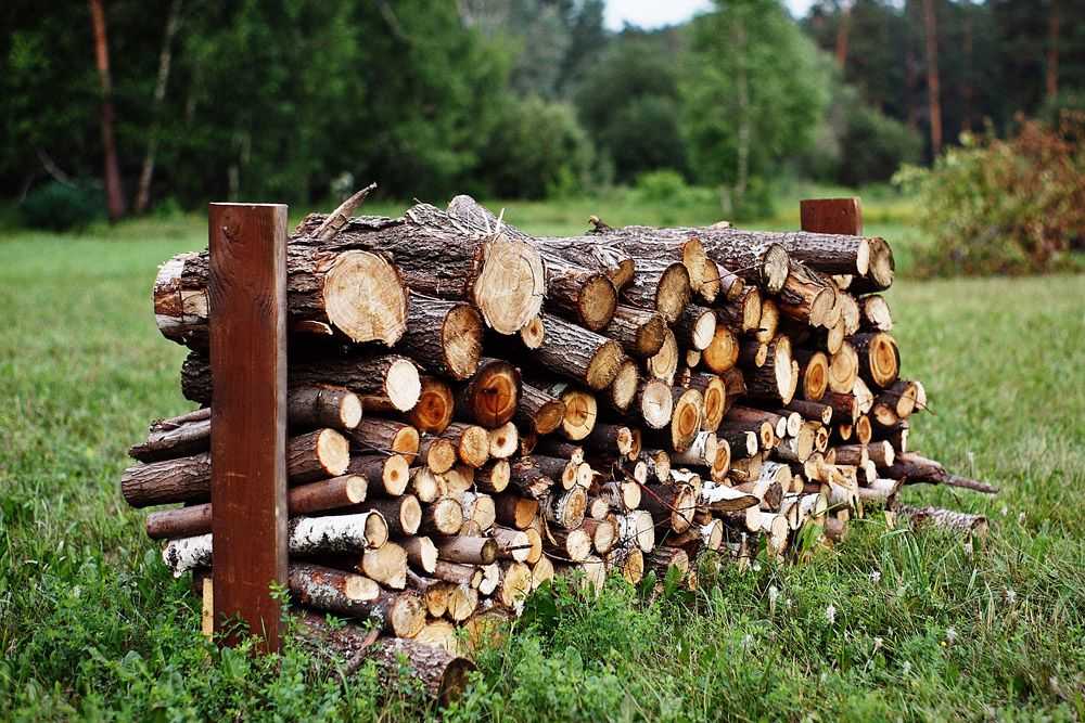 Хранение дров: полезные советы по выбору места и способу хранения