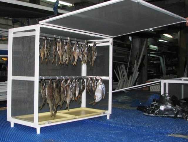 Сушилка для рыбы (41 фото): особенности приспособлений для сушки рыбы с вентилятором, электросушилок и подвесных сеток
