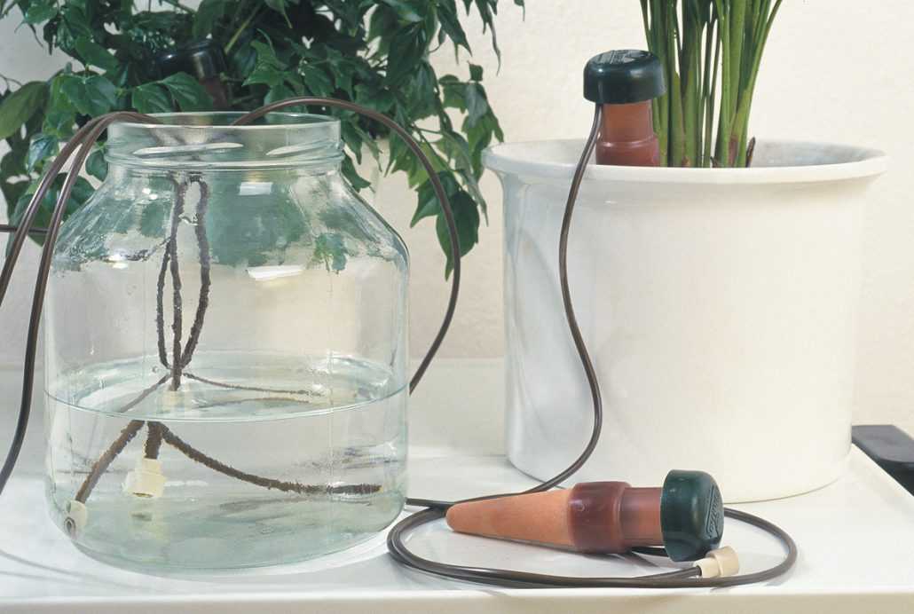 Самодельная лейка для рассады из пластиковой бутылки. как сделать лейку для комнатных растений как сделать лейку в домашних условиях